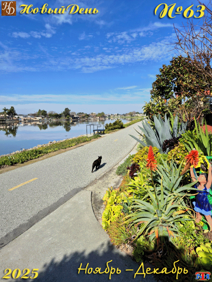 &laquo;����� ����&raquo; �����������-�������������� ��������-������ �63 ������-������� 2025