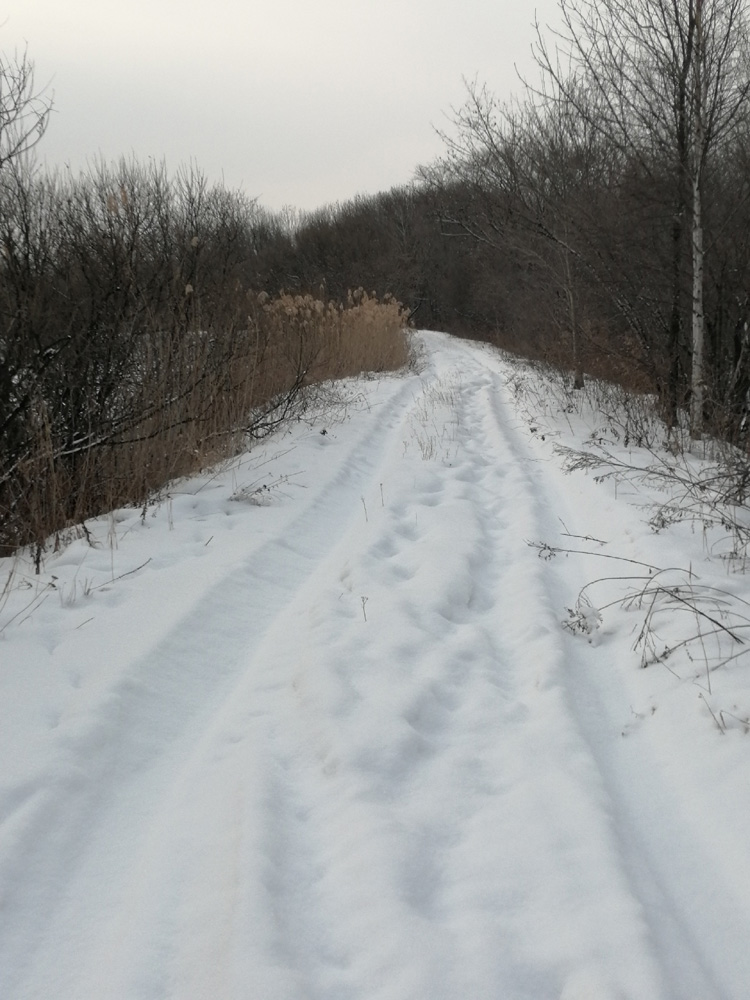 &laquo;������� ����&raquo; ����� �������������