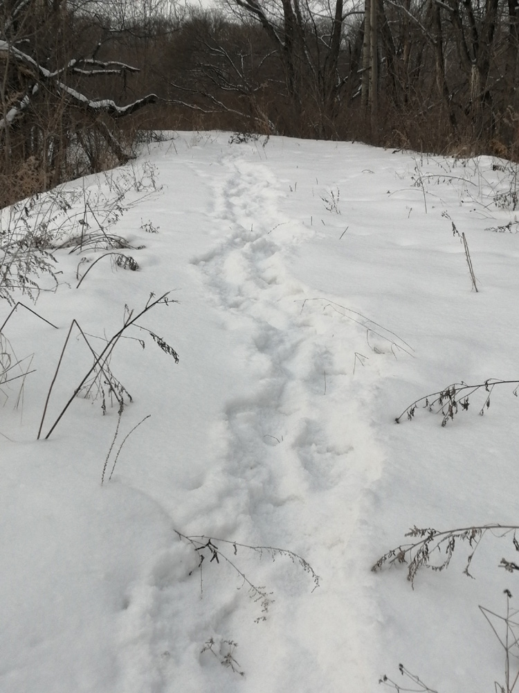 &laquo;������� ����&raquo; ����� �������������