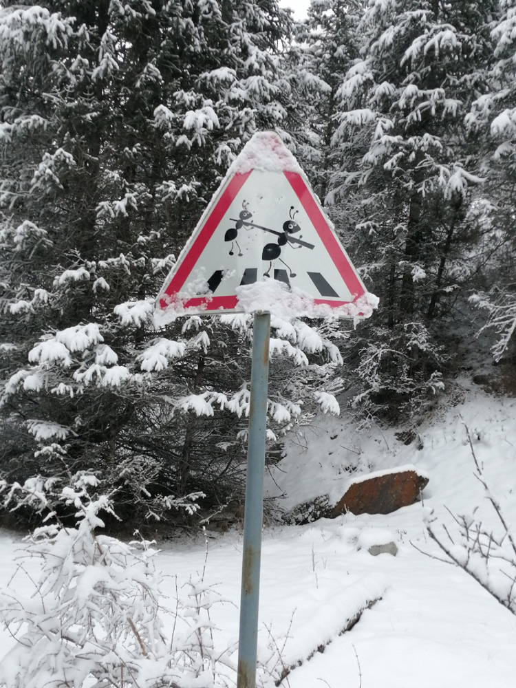 &laquo;������� ����&raquo; ����� �������������