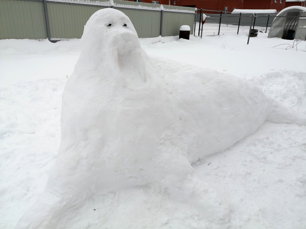 &laquo;������� ����&raquo; ����� �������������